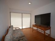 DEPARTAMENTO EN POLANCO AMUEBLADO DEPARTAMENTO EN POLANCO AMUEBLADO