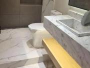 Departamento en Polanco IV Sección