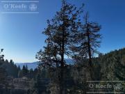 Departamento en pozo con vista al lago San Carlos De...