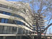 DEPARTAMENTO EN PREVENTA EN LA CRUZ DE HUANACAXTLE | TIZ