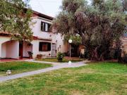 Departamento en Pringles N°1750, entre Av. Lafinut y Av....