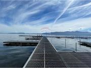 Departamento en Pucón