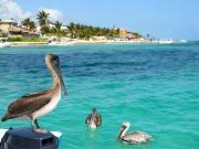 Departamento en Puerto Morelos