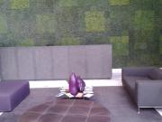 DEPARTAMENTO EN REMATE CUAJIMLAPA EN SANTA FE CONTADERO