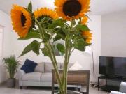 Departamento en renta | Amueblado y equipado | Bronce y...