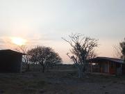 Departamento en Renta Arena Vive El Parque