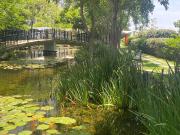 Departamento en Renta ArtPark Colonia Vigia Zapopan