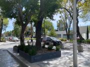 Departamento en Renta Avenida Juarez