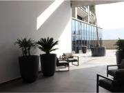 DEPARTAMENTO EN RENTA CENTRO MONTERREY