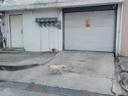 Departamento en Renta, Col. Fierro José Marti 3814