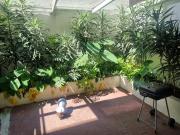 DEPARTAMENTO EN RENTA COLONIA DEL VALLE SEMIAMUEBLADO