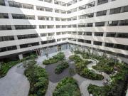 Departamento en renta con muebles Sullivan San Rafael...