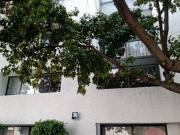 Departamento en renta en Barrio San Lucas, Coyoacán,...