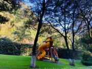 Departamento en renta en Bosques de las Lomas,...