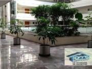 Departamento en Bosques de las Lomas, Cuajimalpa de...