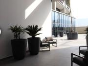 Departamento en renta en Centro, Monterrey, Nuevo León