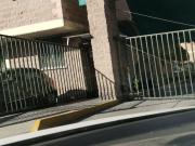 Departamento en Renta en Colonia Pasteros, Azcapotzalco,...