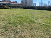 Departamento en renta en Cuajimalpa, el Yaqui