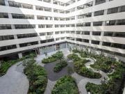 Departamento en Renta en Cuauhtémoc, San Rafael