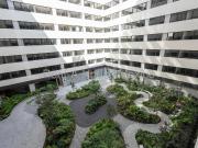 Departamento en Renta en Cuauhtémoc, San Rafael