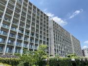 Departamento en renta en Cumbres del Lago, Querétaro