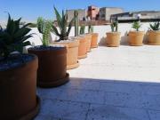 Departamento en renta en Escandón I Sección, Miguel...