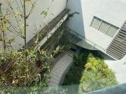 Departamento en renta en Escandón II Sección, Miguel...