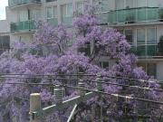 Departamento en renta en Escandón II Sección, Miguel...