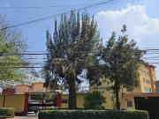 DEPARTAMENTO EN RENTA EN JARDINES DE ATIZAPAN