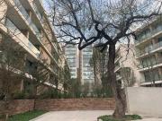 Departamento en renta en Jeronimo Siller, San Pedro...