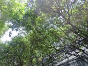 Departamento en Renta en Juan Vázquez de Mella, Polanco...