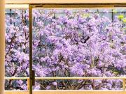 Departamento en renta en Juárez, Cuauhtémoc, Ciudad de...