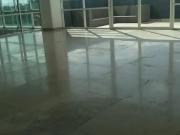 DEPARTAMENTO EN RENTA EN LAS TORRES ARTS