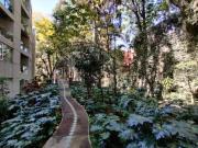 Departamento en renta en Lomas de Chapultepec I Sección,...