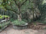 Departamento en renta en Lomas de Chapultepec, Miguel...