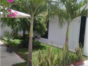 Departamento en renta en Medellín y Pigua 2da. Sección,...