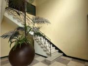 Departamento en renta en Molino de Rosas, Álvaro...