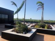 Departamento en renta en Montes de Ame, Mérida, Yucatán