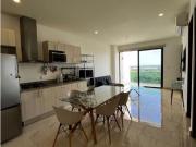 Departamento en renta en Nuevo Centro Urbano,...