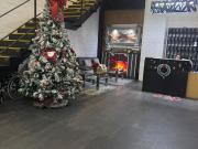 DEPARTAMENTO EN RENTA EN NUEVO SUR