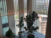 DEPARTAMENTO EN RENTA EN POLANCO