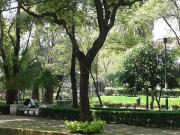 DEPARTAMENTO EN RENTA EN POLANCO