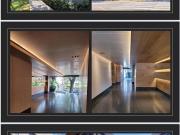 Departamento en renta en Polanco II Sección, Miguel...