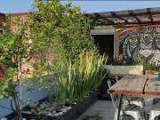 Departamento en renta en Polanco IV Sección, Miguel... Departamento en renta en Polanco IV Sección, Miguel...