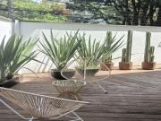 Departamento en renta en Polanco IV Sección, Miguel...