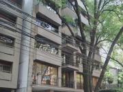 Departamento en Renta en Polanco IV Sección, Miguel...