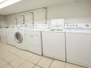 Departamento en Renta en Polanco Miguel Hidalgo