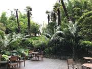 departamento en renta en reforma, tabacalera