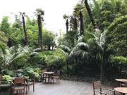 DEPARTAMENTO EN RENTA EN REFORMA, TABACALERA