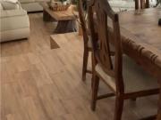 Departamento en renta en Residencial Campestre la...